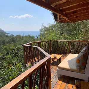 Bamboo With Sea View In Kabak Bay, Oeluedeniz Otel